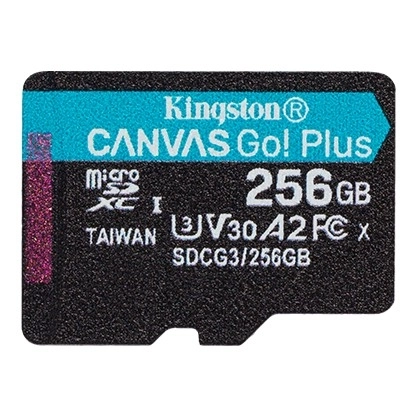 Karta MicroSD 256GB Canvas Go Plus 170/90MB/s