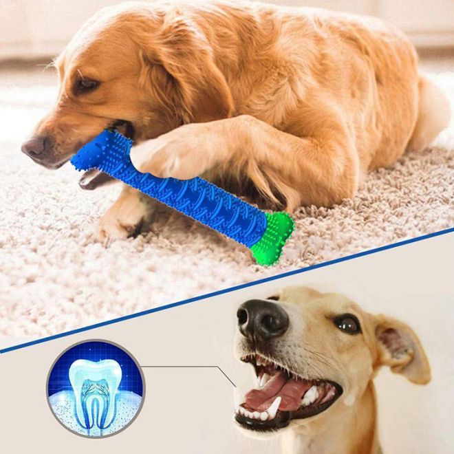 Žvýkací hračka pro psy zubní kartáček pro psy