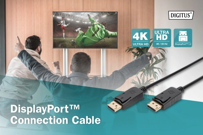 Propojovací kabel DisplayPort se západkami 4K 60Hz UHD Typ DP/DP M/M černý 2m