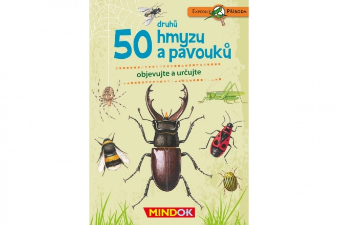 Expedice příroda: 50 druhů hmyzu a pavouků