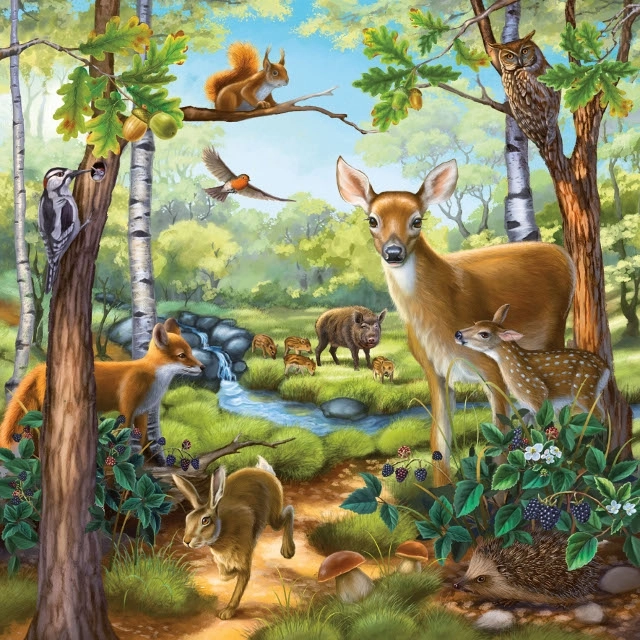 Ravensburger puzzle Zvířata v lese, ZOO a na statku