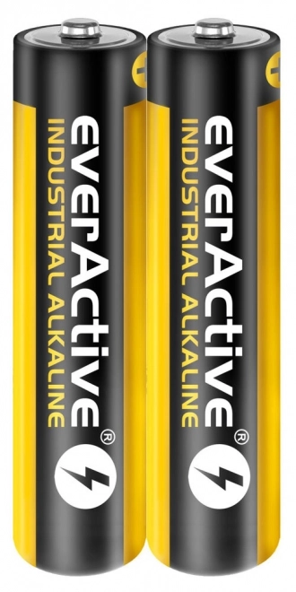 Baterie EverActive Industrial Alkaline LR03 AAA