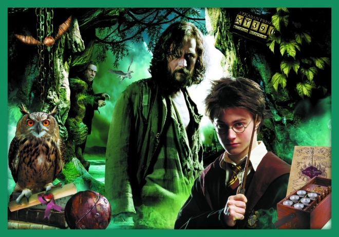 Puzzle Harry Potter - Ve světě Harryho Pottera 10v1