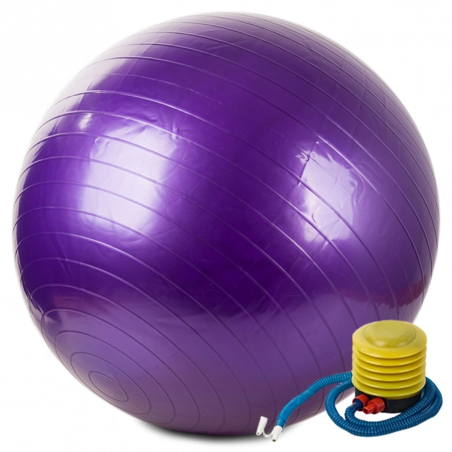 Gymnastický / rehabilitační míč + pumpa 65cm fialový