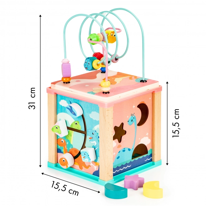 Dřevěná výuková kostka, třídička mula ECOTOYS