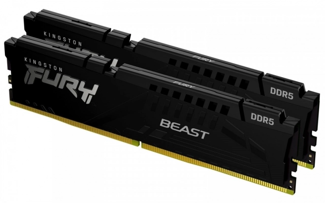 Paměť DDR5 Fury Beast Black 16GB(2* 8GB)/5200 CL36 EXPO