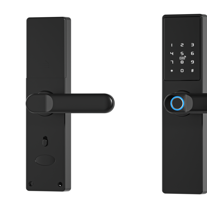 Inteligentní zámek dveří Tuya, Elektronický zámek dveří na otisk prstu, kód, Wi-Fi, RFID - černý