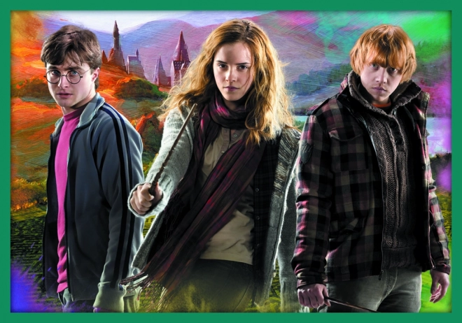 Puzzle Harry Potter - Ve světě Harryho Pottera 10v1