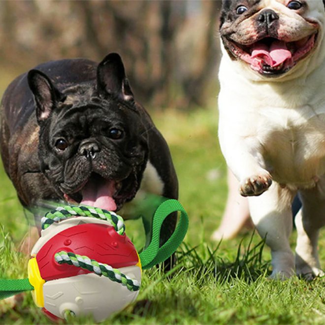 Hračka pro psy frisbee míč létající disk žvýkací hračka
