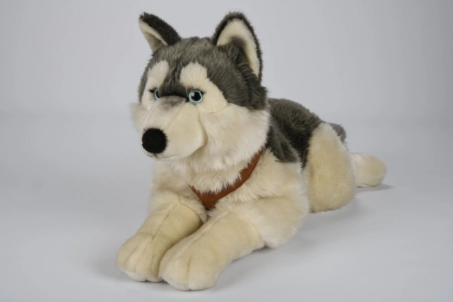 Plyš Husky