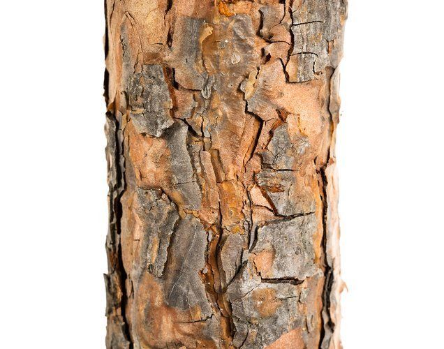 Dekorativní diamantová borovice - 180 cm
