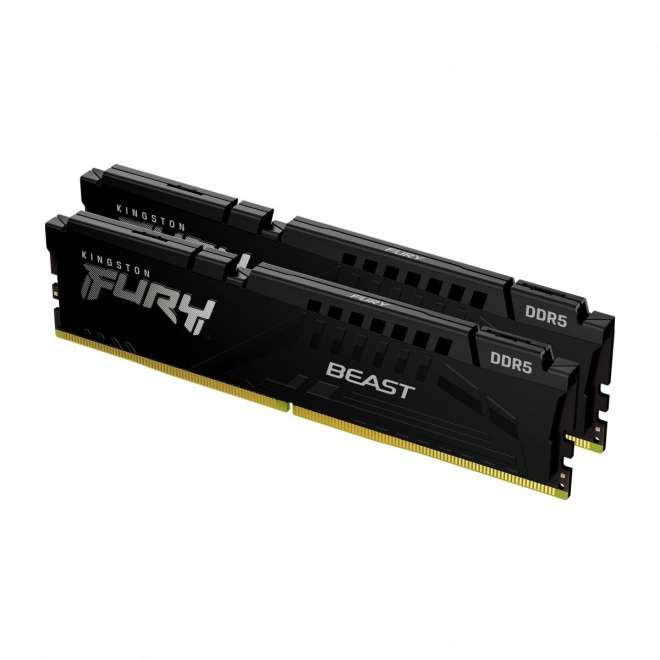 DDR5 Fury Beast Black 32GB(2*16GB)/5600 CL40