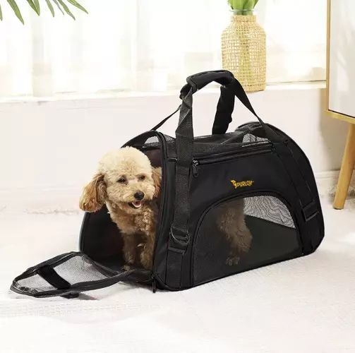 Transportér - taška pro psa/kočku