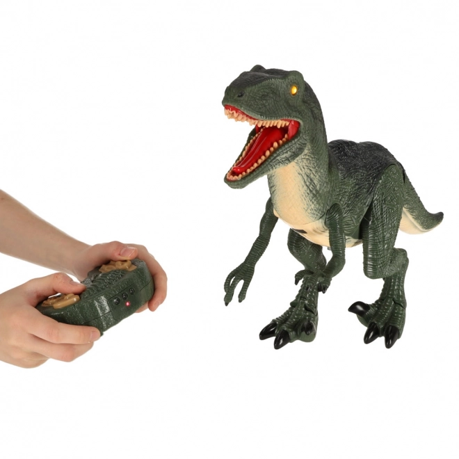 RC dinosaurus Velociraptor