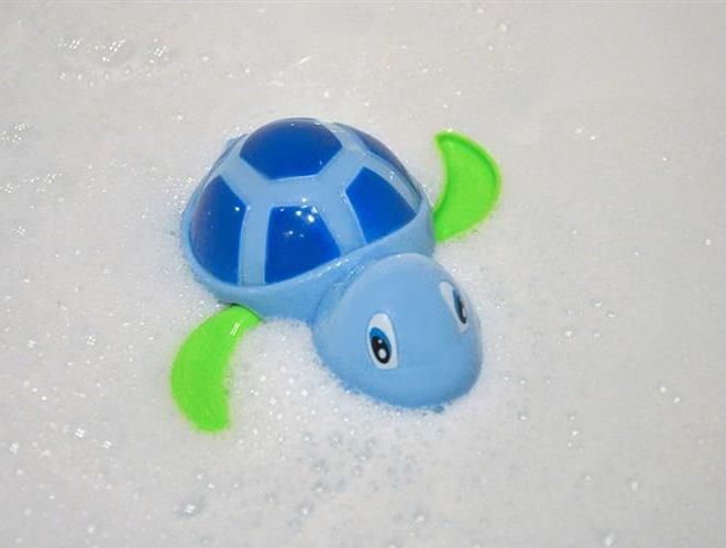 Želva vodní – Modrá