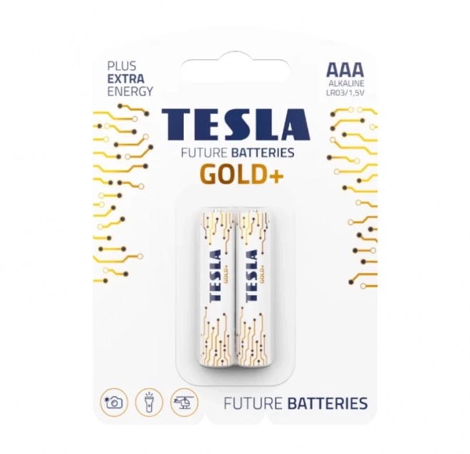 Alkalické baterie AAA Tesla Gold+ 2 ks