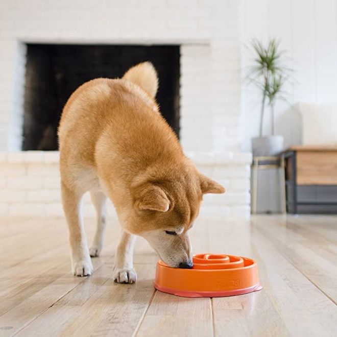 Zpomalovací miska na jídlo pro psa / kočku - oranžová