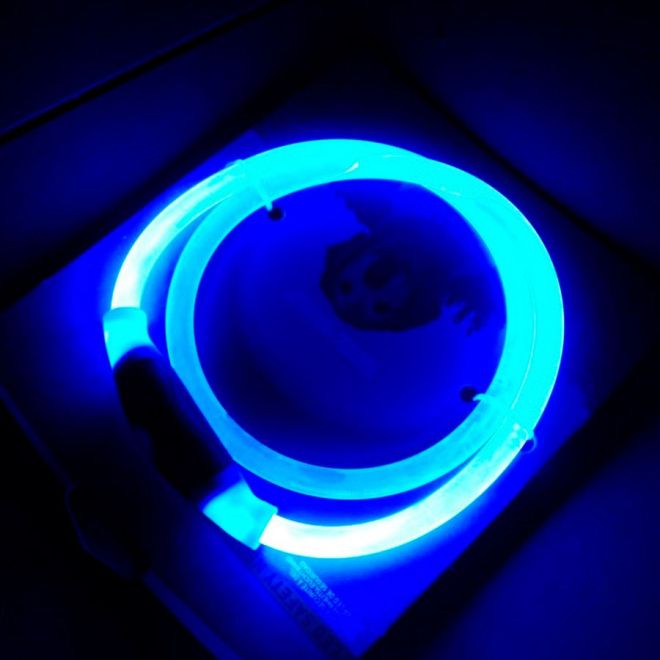 LED obojek pro psy, obvod krku 70 cm - modrý