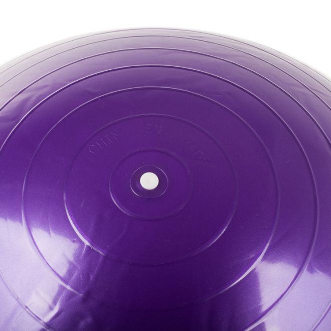 Gymnastický / rehabilitační míč + pumpa 65cm fialový